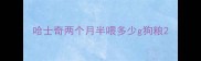 哈士奇两个月半喂多少g狗粮