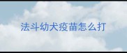 法斗幼犬疫苗怎么打