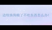 边牧换狗粮了不吃东西怎么办