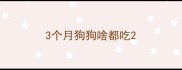 3个月狗狗啥都吃
