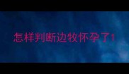 怎样判断边牧怀孕了