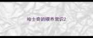 哈士奇的喂养常识