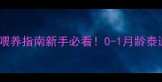 刚满月泰迪科学喂养指南新手必看0-1月龄泰迪饮食营养全