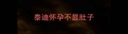 泰迪怀孕不显肚子