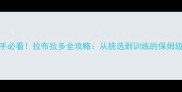 新手必看拉布拉多全攻略从挑选到训练的保姆级教程