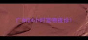 广州24小时宠物夜诊
