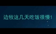 边牧这几天吃饭很慢