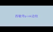 西敏寺pink边牧