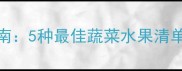 边牧饮食健康指南5种最佳蔬菜水果清单及科学喂养方案