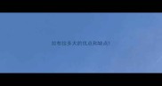 拉布拉多犬的优点和缺点