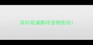 深圳观澜鹏祥宠物医院