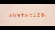 边牧咬小狗怎么回事