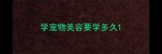学宠物美容要学多久