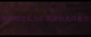 哈士奇幼犬频繁哼唧怎么办资深训犬师教你3步止哭指南