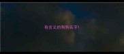 有含义的狗狗名字