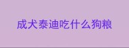 成犬泰迪吃什么狗粮