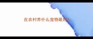 在农村养什么宠物最好