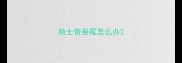 哈士奇卷尾怎么办