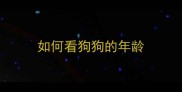 如何看狗狗的年龄