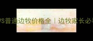 陨石边牧VS普通边牧价格全边牧家长必看避坑指南