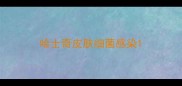 哈士奇皮肤细菌感染