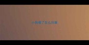小狗瘸了怎么回事