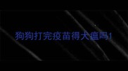 狗狗打完疫苗得犬瘟吗