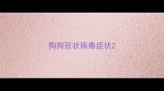 狗狗冠状病毒症状