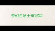梦幻色哈士奇冠军