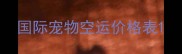 国际宠物空运价格表