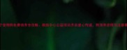 南宁宠物狗免费领养全攻略救助中心公益项目开启爱心传递附领养流程与注意事项
