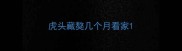 虎头藏獒几个月看家