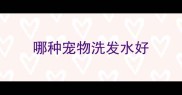哪种宠物洗发水好