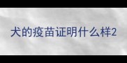 犬的疫苗证明什么样