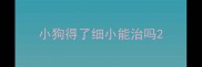 小狗得了细小能治吗