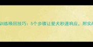 哈士奇训练唤回技巧5个步骤让爱犬秒速响应附实战案例