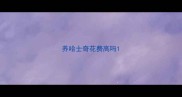 养哈士奇花费高吗