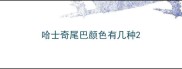 哈士奇尾巴颜色有几种