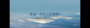 泰迪一天吃几粒狗粮