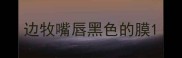 边牧嘴唇黑色的膜