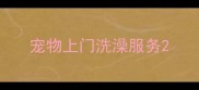 宠物上门洗澡服务