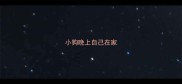 小狗晚上自己在家
