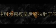 注射犬瘟疫苗后会拉肚子吗