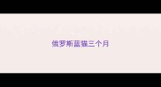 俄罗斯蓝猫三个月