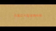 石家庄大型宠物市场