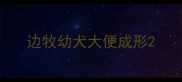 边牧幼犬大便成形