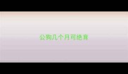 公狗几个月可绝育