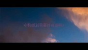 小狗抓到需要打疫苗吗
