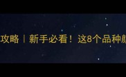 灰色猫咪的品种全攻略新手必看这8个品种颜值与性格双在线