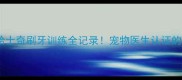 2个月哈士奇刷牙训练全记录宠物医生认证的护牙方法